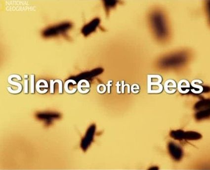 Молчание пчел : Silence of the Bees  (2007)
