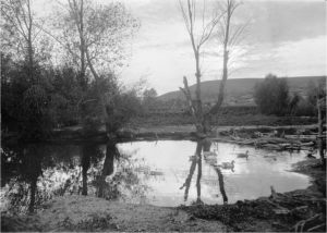 Cело Борискино (Самарской губернии) на старых фотографиях 1914 года Cело Борискино (Самарской губернии) на старых фотографиях 1914 года