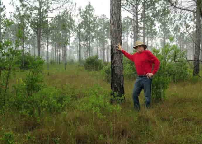 Американец восстановил леса, полностью вырубленные 100 лет назад 