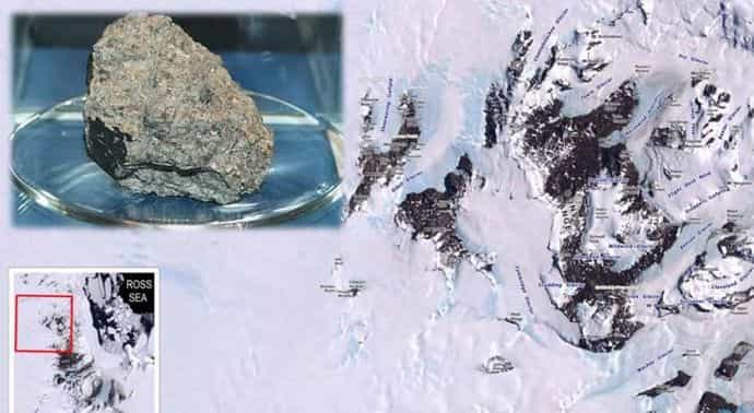 В Антарктиде обнаружен ископаемый лес 