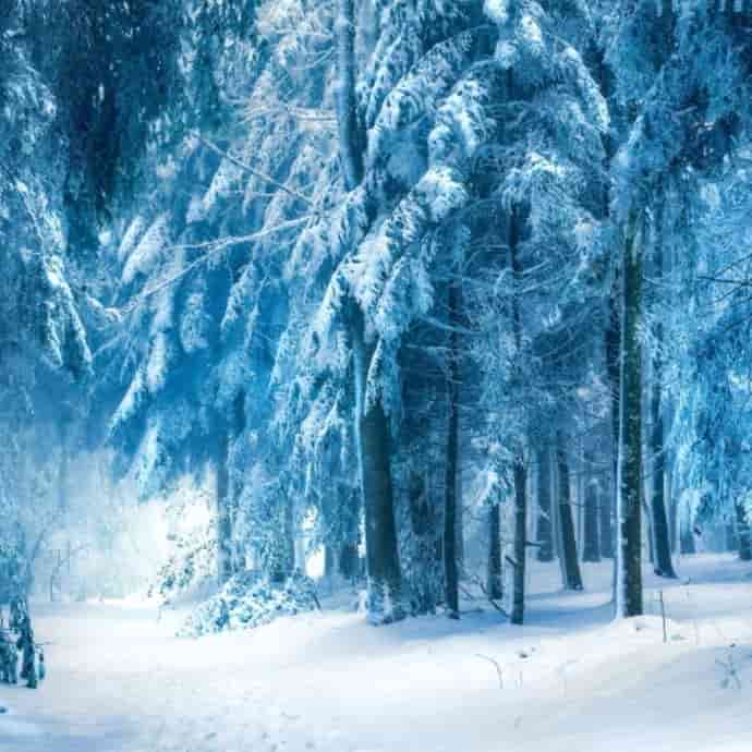 Зимний Яр: праздник Духа Зимы — Деда Мороза (4-6 декабря)