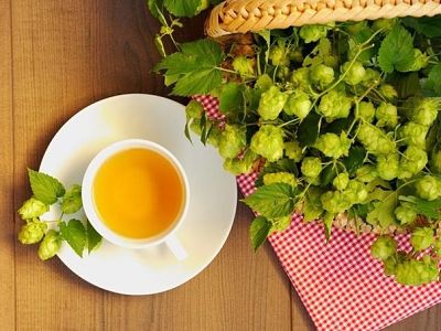 Чай с хмелем: вкусно и полезно