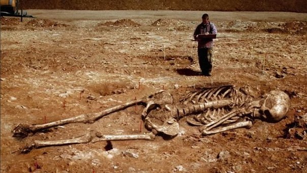 Американский институт признал уничтожение тысяч скелетов людей-гигантов