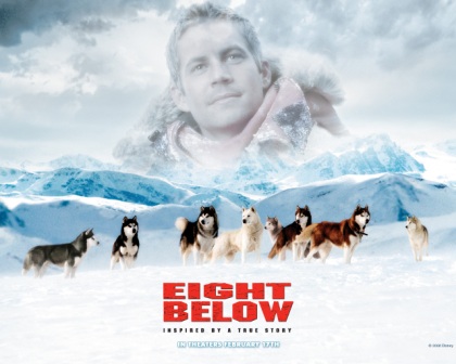 Белый плен – потрясающий фильм о жизни собак в условиях Антарктики