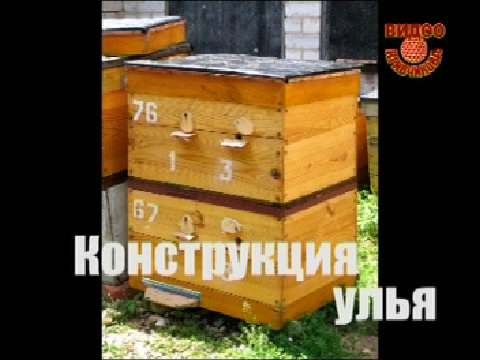 Пчеловодство, 2-х корпусный улей. В.В.Кривчиков. Диск 2. Видеоуроки