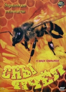 Сны пчел :: Энциклопедия пчеловодства (2007)