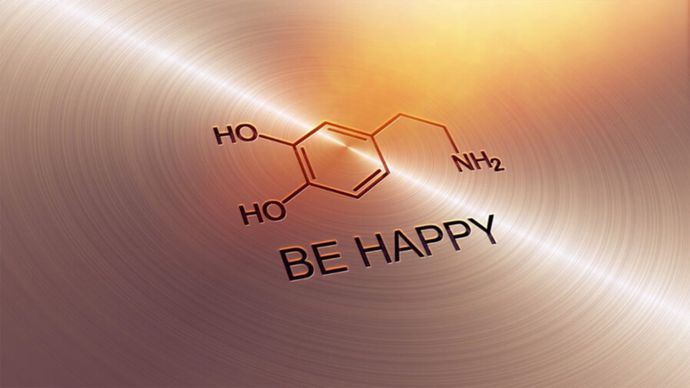 Что делает дофамин (гормон счастья) на самом деле