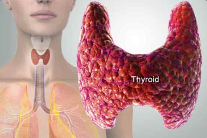 Какие продукты истощают щитовидную железу
