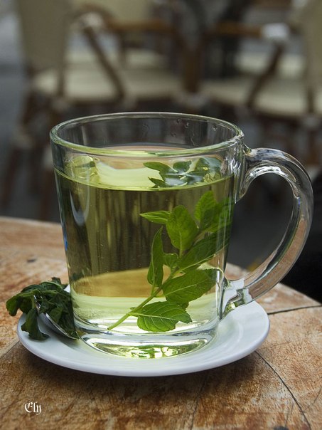 Важные правила приготовления травяного чая