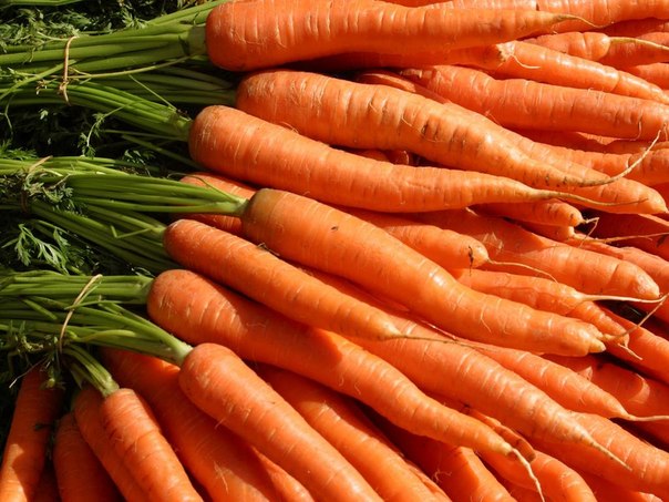Что мы знаем про морковку ?